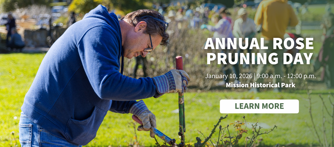 A man prunes roses. Text reads "Annual Rose Pruning Day Saturday, January 10 9:00 a.m. - 12 p.m.