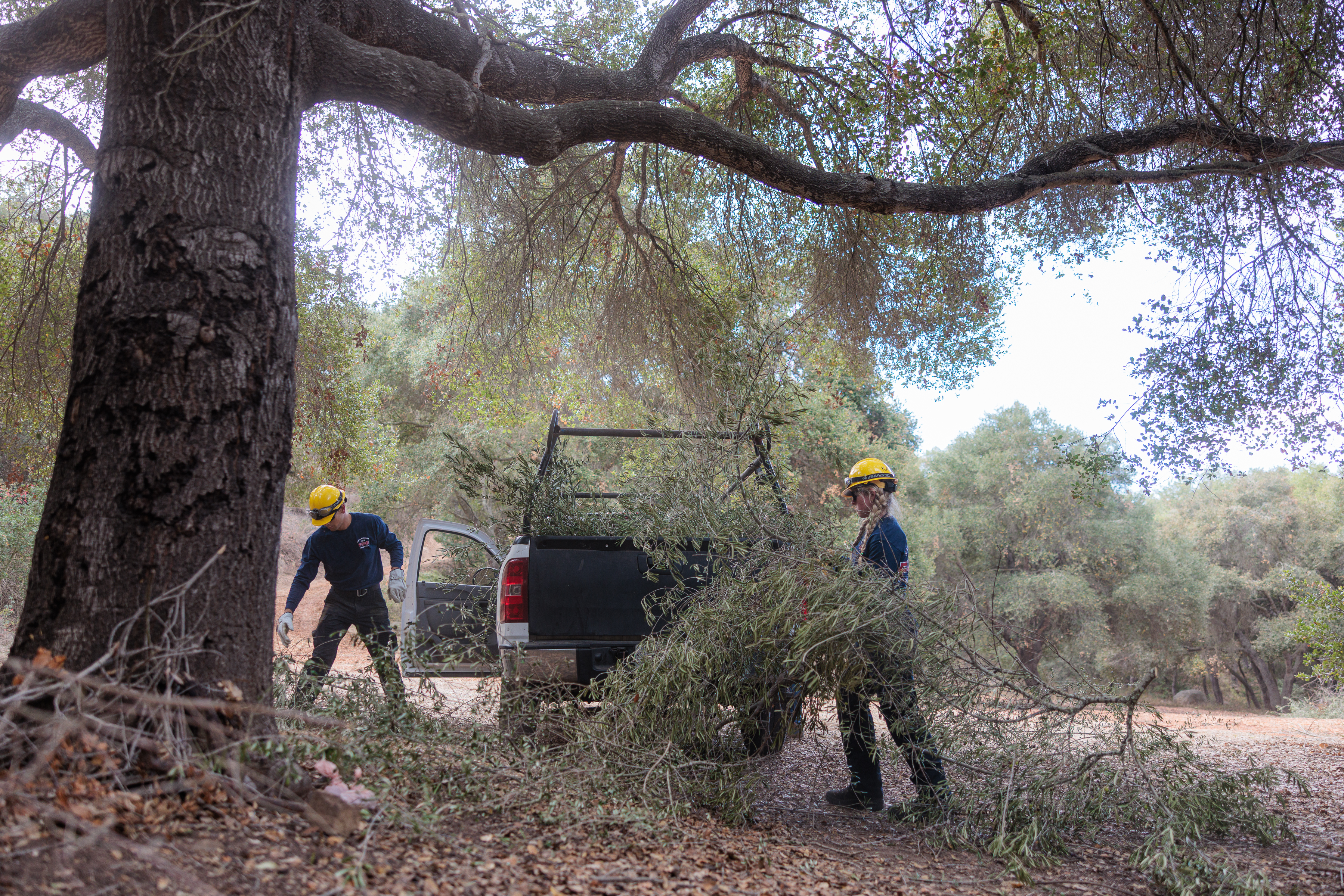 Crews pick up large vegetation brush from Stevens Park