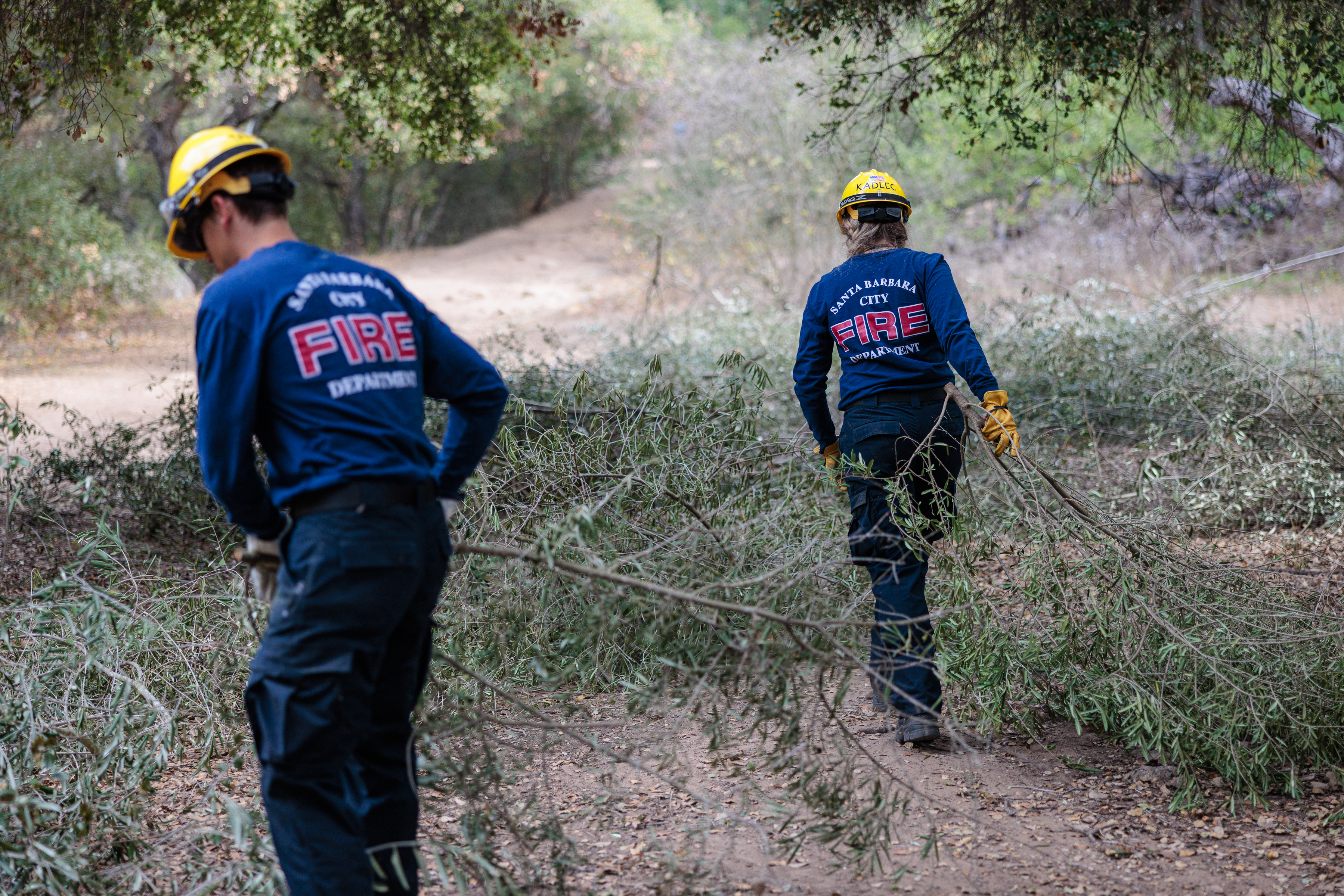Crews pick up large vegetation brush from Stevens Park