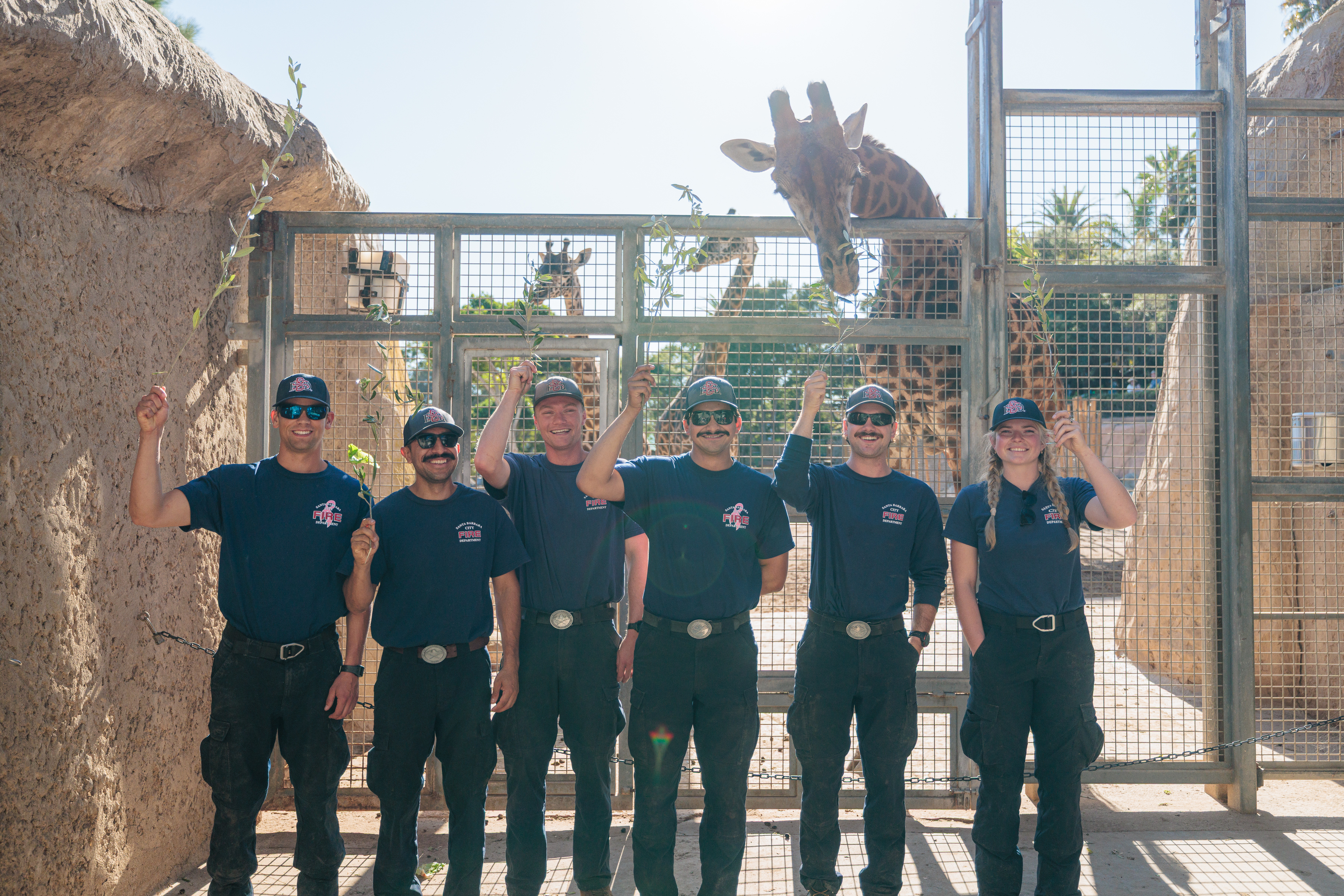 Wildfire resiliency staff pose in front of Giraffes at the SB Zoo