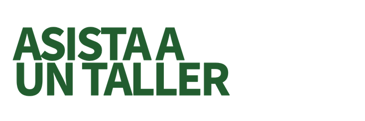 Asiste A Un Taller