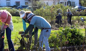 Volunteers at the A.C. Postel Mission Rose Garden