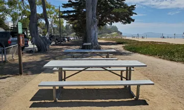 Picnic Site 1 at East Beach
