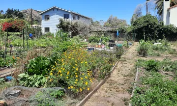 Rancheria Community Garden