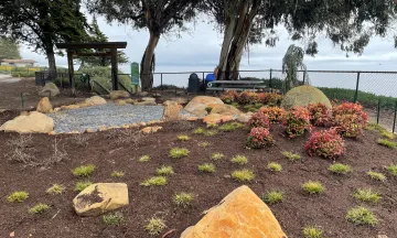 Newly planted landscaping at the torii gate garden in Shoreline Park