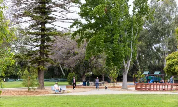 People wander beneath large trees in Willowglen Park