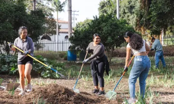 Three volunteers rake mulch at Alice Keck Park Memorial Garden