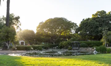 Alice Keck Park Memorial Garden pond and grassy area at sunset