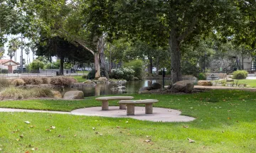 Chase Palm Park with bench in foreground and pond in background