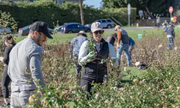 Volunteers work on rose bushes as Mission Historical Park