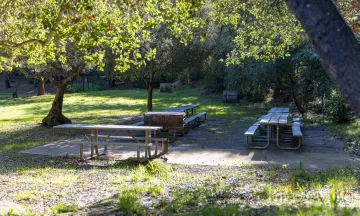 Skofield Park Picnic Area B