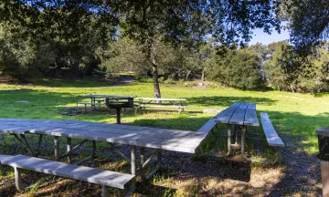 Skofield Park Picnic Area D