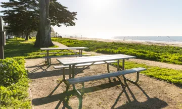 Picnic Site 1 at East Beach