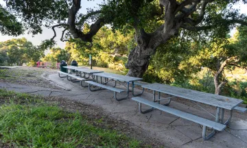 Picnic site at Hilda Ray McIntyre Park