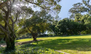 Scenic grassy area and trees in Orpet Park