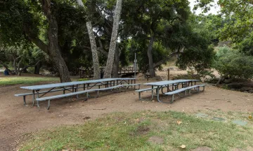 Picnic area at Stevens Park