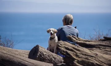 A dog and owner sit on a log over looking the ocean at Douglas Family Preserve