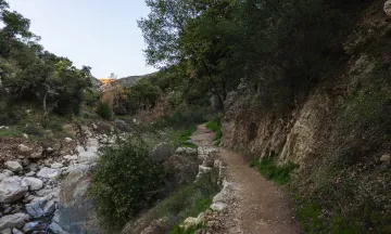 Cold Spring Trail with creek on the left