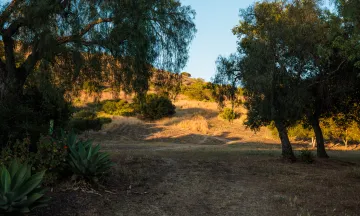 Laurel Canyon Park at sunset