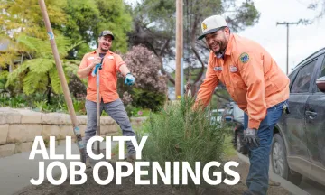 All City Job Openings