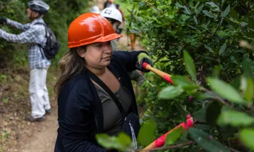 A volunteer clears overgrown plants from a trail