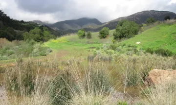 Barger Canyon Preserve along upper Arroyo Burro