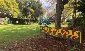 Sunflower Park.jpg