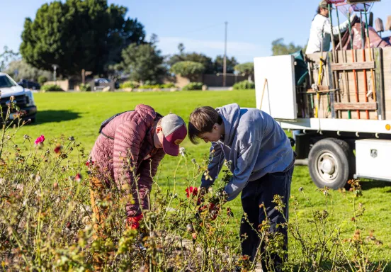 Volunteers work on rose bushes as Mission Historical Park