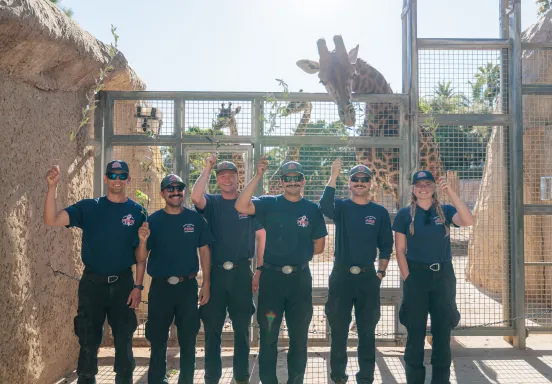 Wildfire resiliency staff pose in front of Giraffes at the SB Zoo