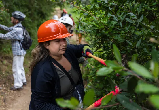 A volunteer clears overgrown plants from a trail