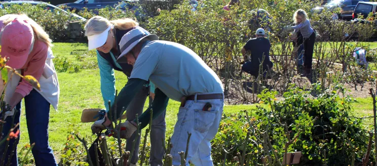 Volunteers at the A.C. Postel Mission Rose Garden
