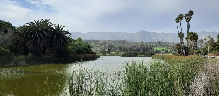 Andrée Clark Bird Refuge