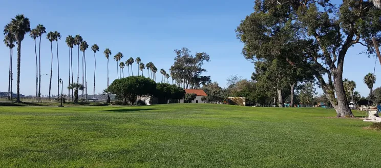 Great Meadow at Chase Palm Park