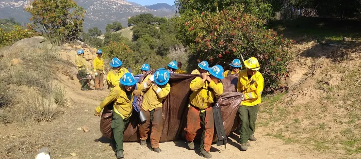 A crew removing vegetation from Stevens Park