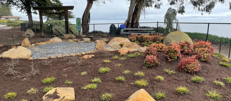 Newly planted landscaping at the torii gate garden in Shoreline Park