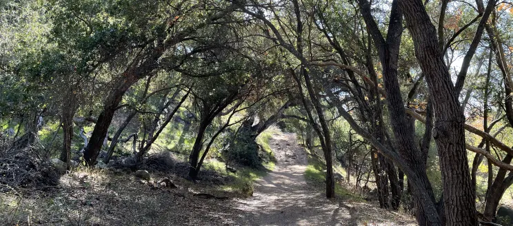 Trail in Stevens Park