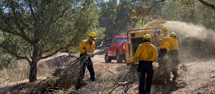 Vegetation management puts brush into a chipper