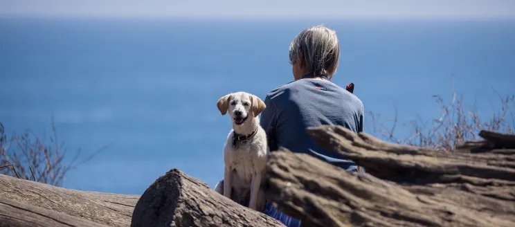 A dog and owner sit on a log over looking the ocean at Douglas Family Preserve