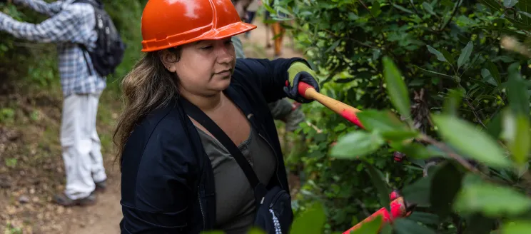 A volunteer clears overgrown plants from a trail