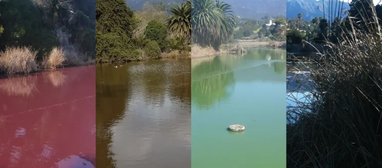 Bird Refuge Colors.JPG
