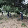 Volunteers install native plants at the Arroyo Burro Open Space