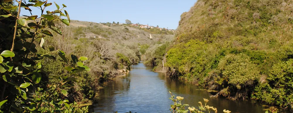 Water flows through the Arroyo Burro Estuary