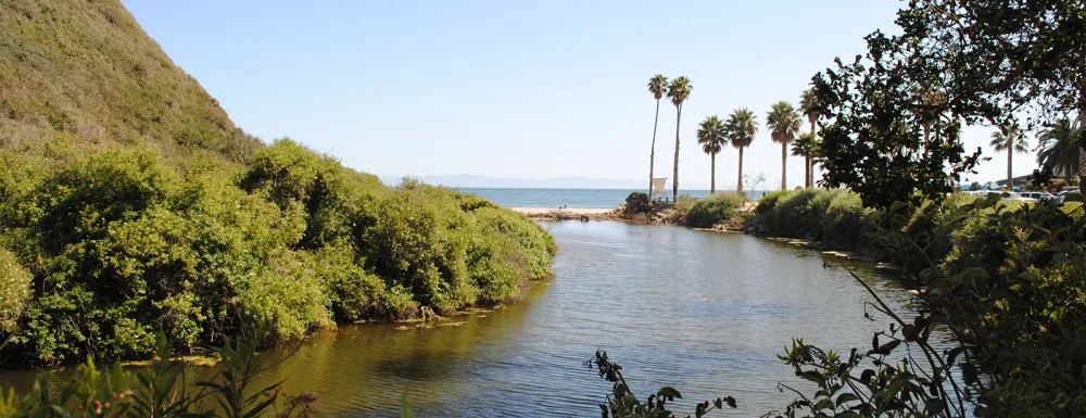 Arroyo Burro Estuary at Arroyo Burro Beach