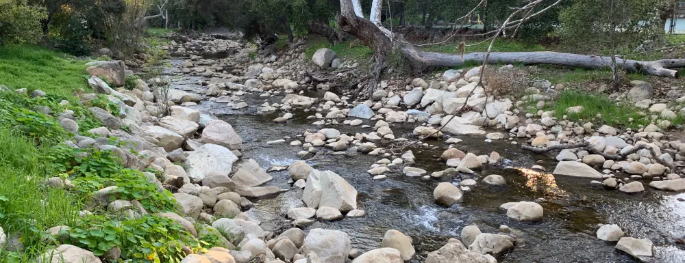 Mission Creek flowing through Oak Park