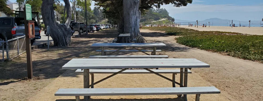 Picnic Site 1 at East Beach