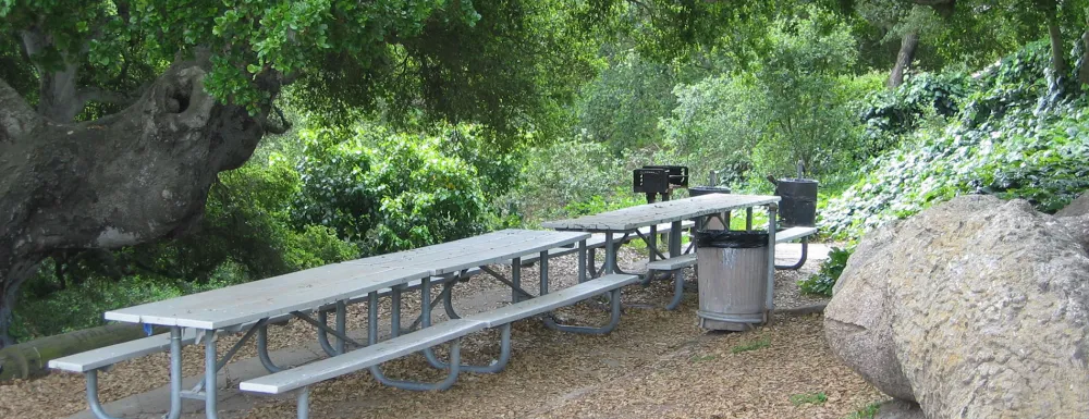 Picnic site at Hilda Ray McIntyre Park