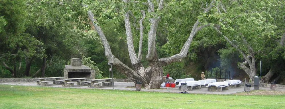 Sycamore Picnic Site at Oak Park