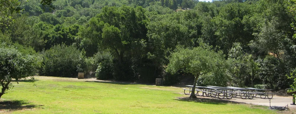 Picnic Area B at Skofield Park