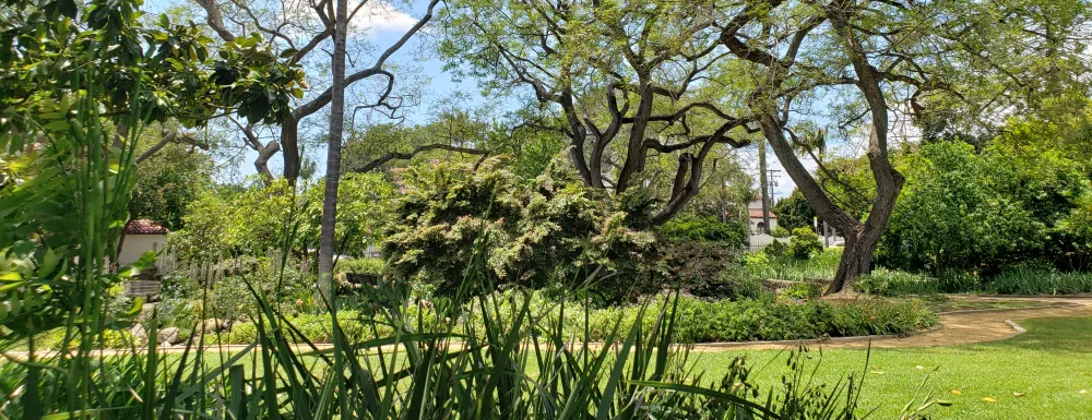 Turf at Alice Keck Park Memorial Garden