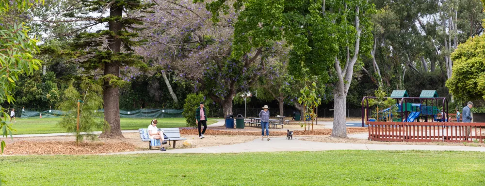 People wander beneath large trees in Willowglen Park